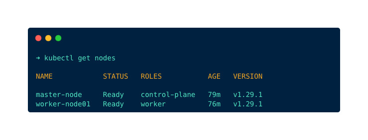 master node is upgraded to version 1.29.1: both nodes are upgraded to the new version