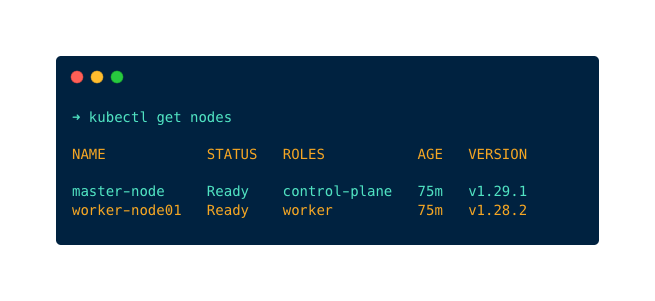 Upgrade the Kubernetes Kubeadm Cluster: master node is upgraded to version 1.29.1